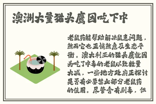 japonensisjava老师网站App